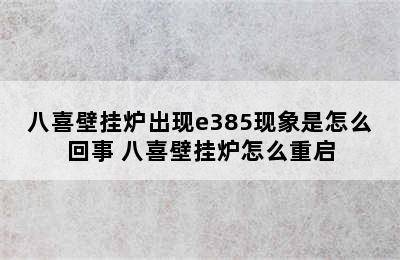 八喜壁挂炉出现e385现象是怎么回事 八喜壁挂炉怎么重启